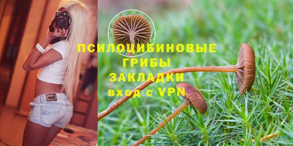 твердый Краснотурьинск