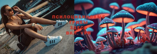mdma Краснослободск