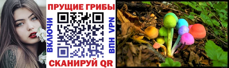 Купить закладки  Белоозёрский  Галлюциногенные грибы мухоморы 
